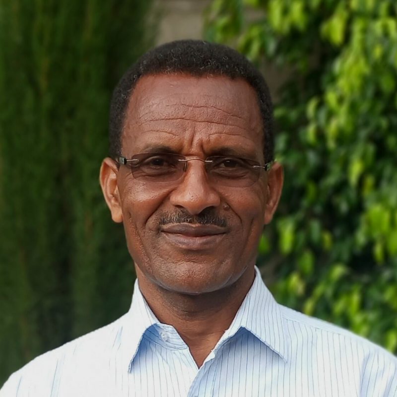 Staff Headshot_Deresu Tsegaye